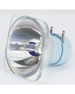 ZB-MSD PLATINUM 5R By ADJ